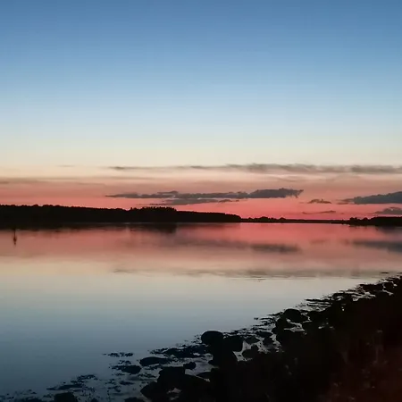 בית אירוח Spiced ניקובינג פלסטר