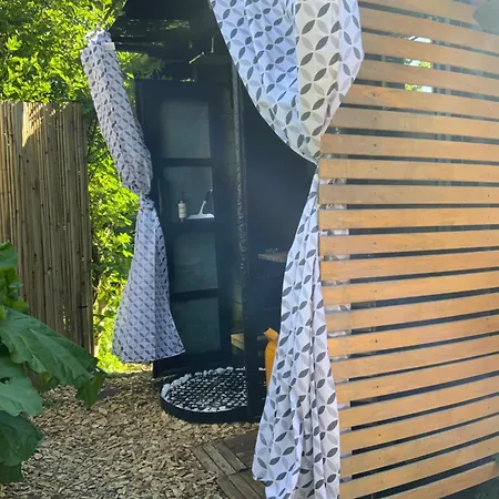 Spiced ניקובינג פלסטר