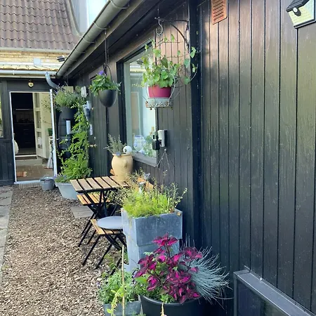 Spiced Nykøbing Falster